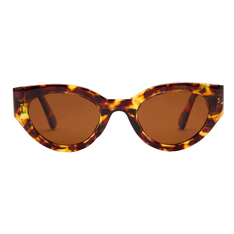 tortoise brown sunglasses