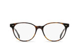 MABEL-Kola Tortoise / Clear
