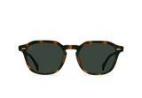 CLYVE-Espresso Tortoise / Green Polarized