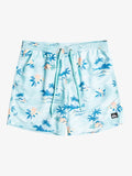 Men's Everyday Scenic Volley 17Nb